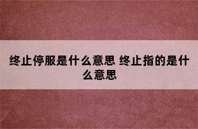 终止停服是什么意思 终止指的是什么意思